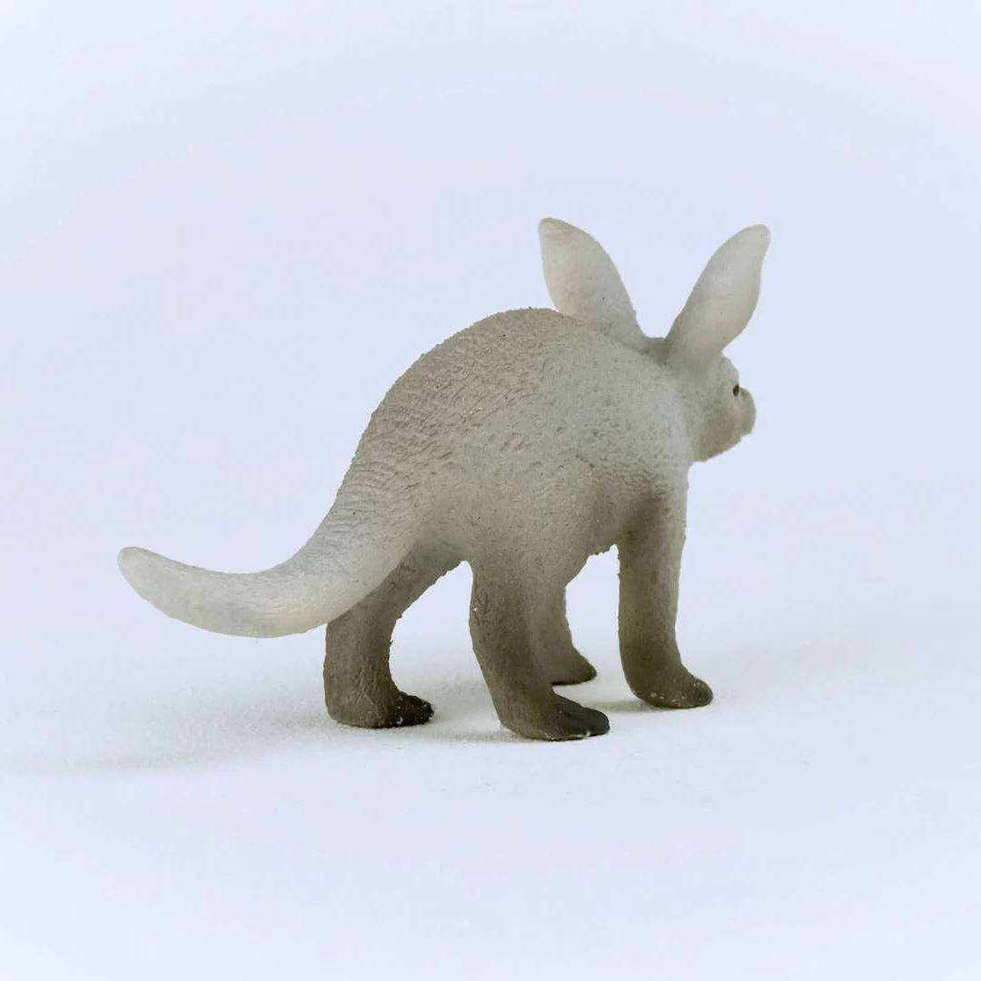 Aardvark - Image 4