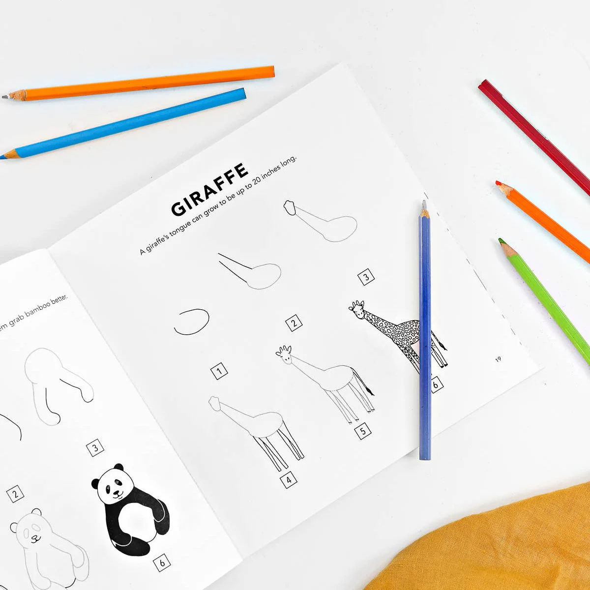All The Animals: A How to Draw Art Book for Kids - Image 2