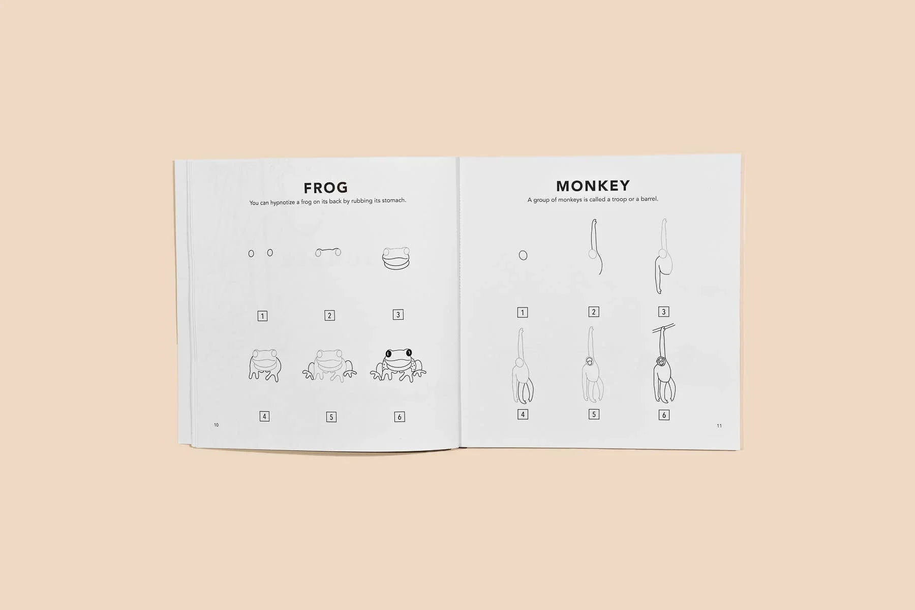 All The Animals: A How to Draw Art Book for Kids - Image 4
