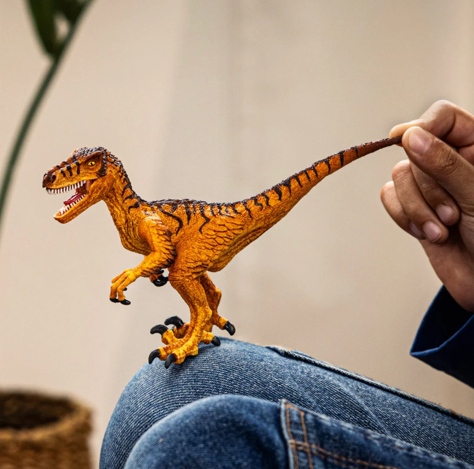 Velociraptor - Image 2