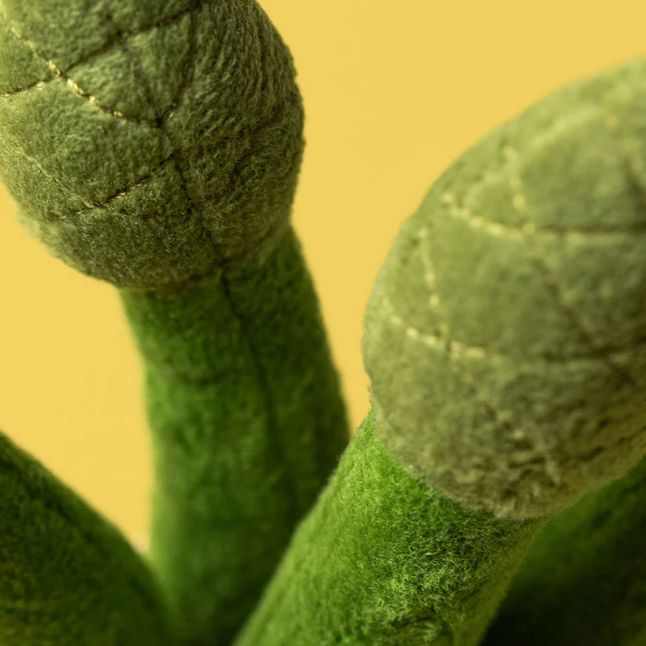 Amuseables Asparagus - Image 3