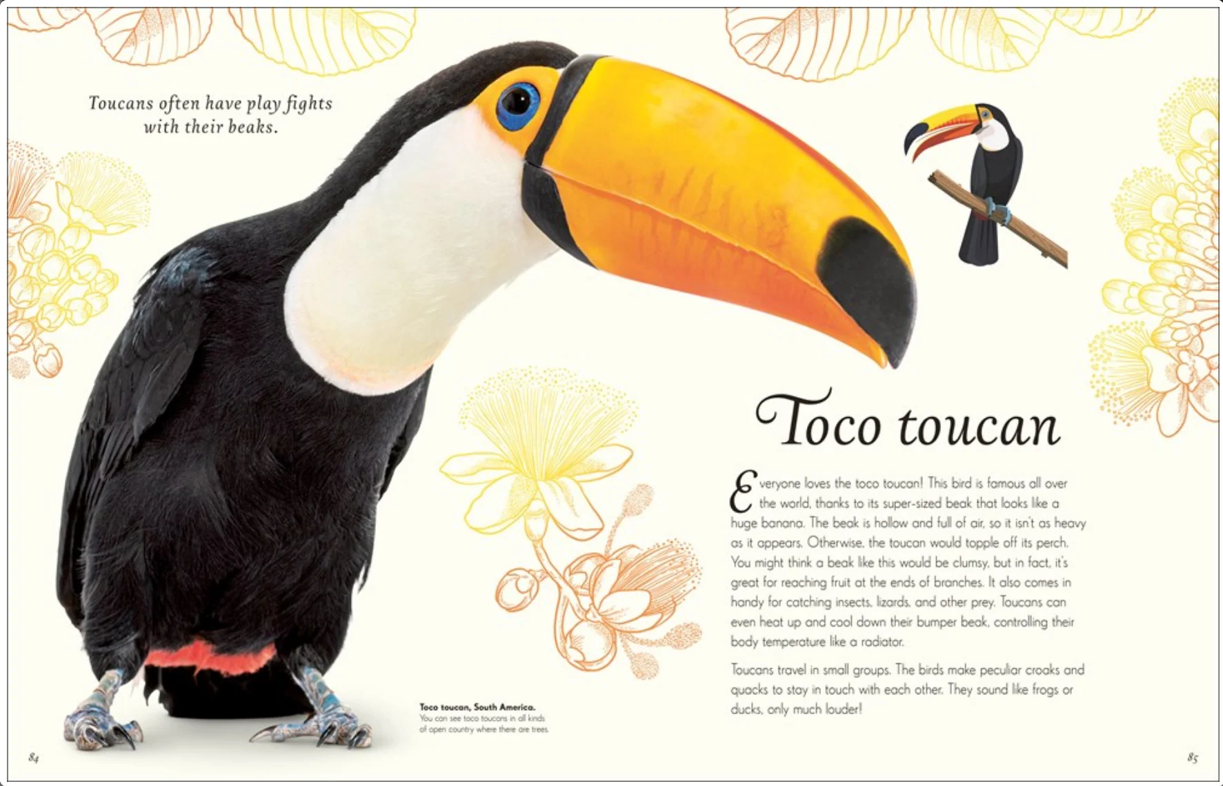 An Anthology of Exquisite Birds - Image 7