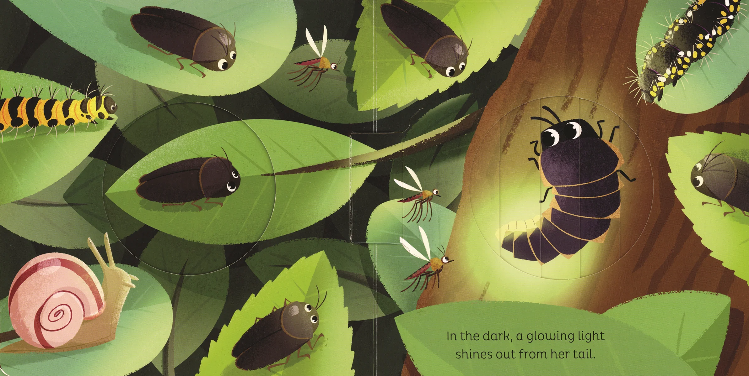 Animal Magic: In the Night - Image 4