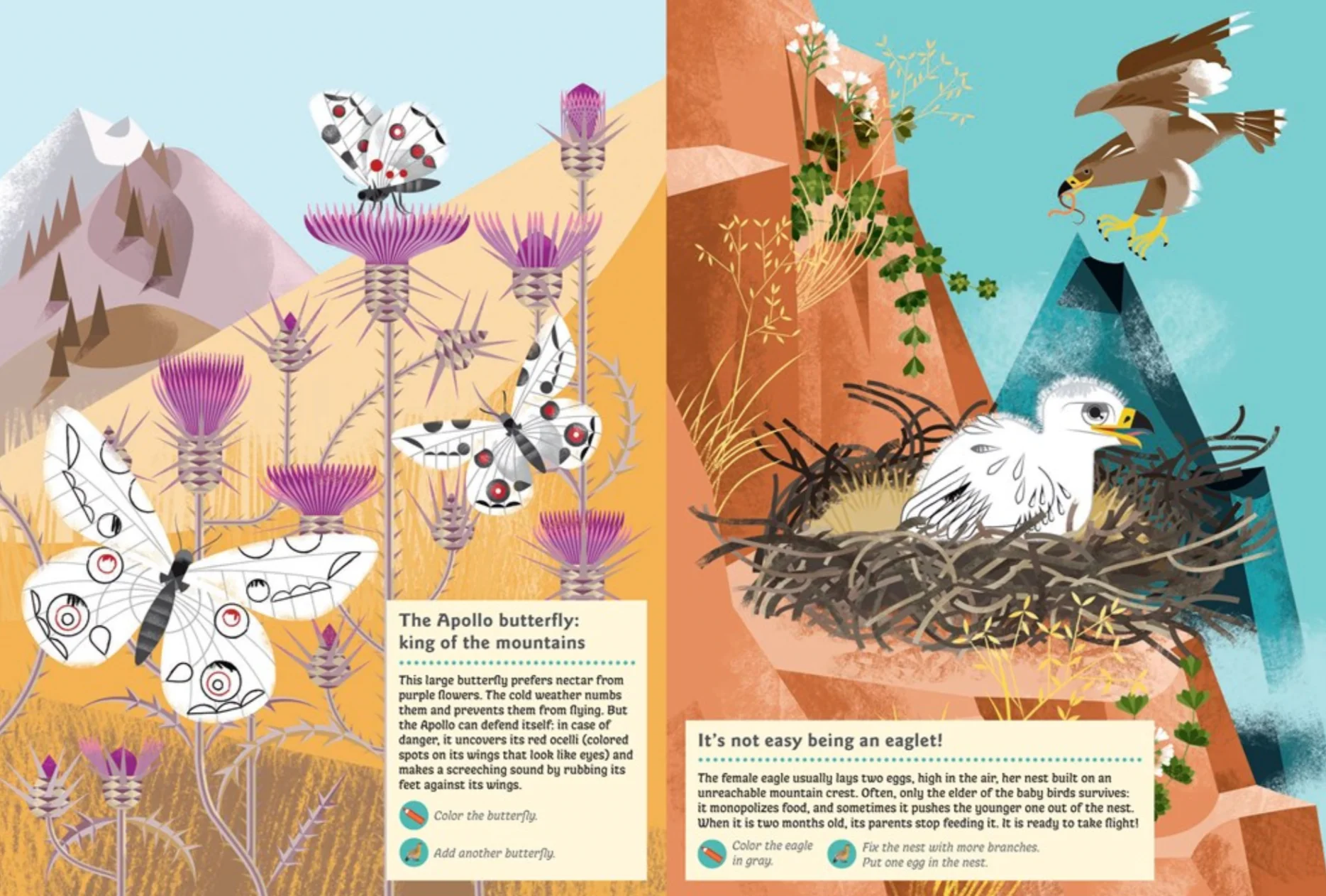 Animals of the Mountains -My Nature Sticker Activity Book - Image 3