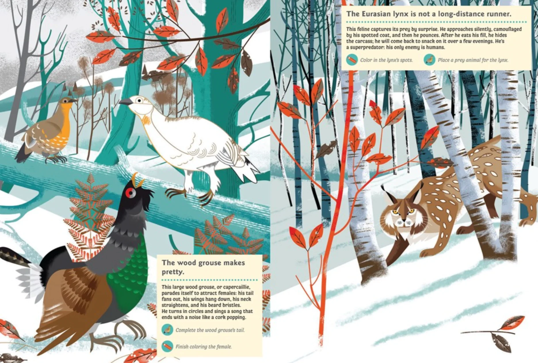 Animals of the Mountains -My Nature Sticker Activity Book - Image 4