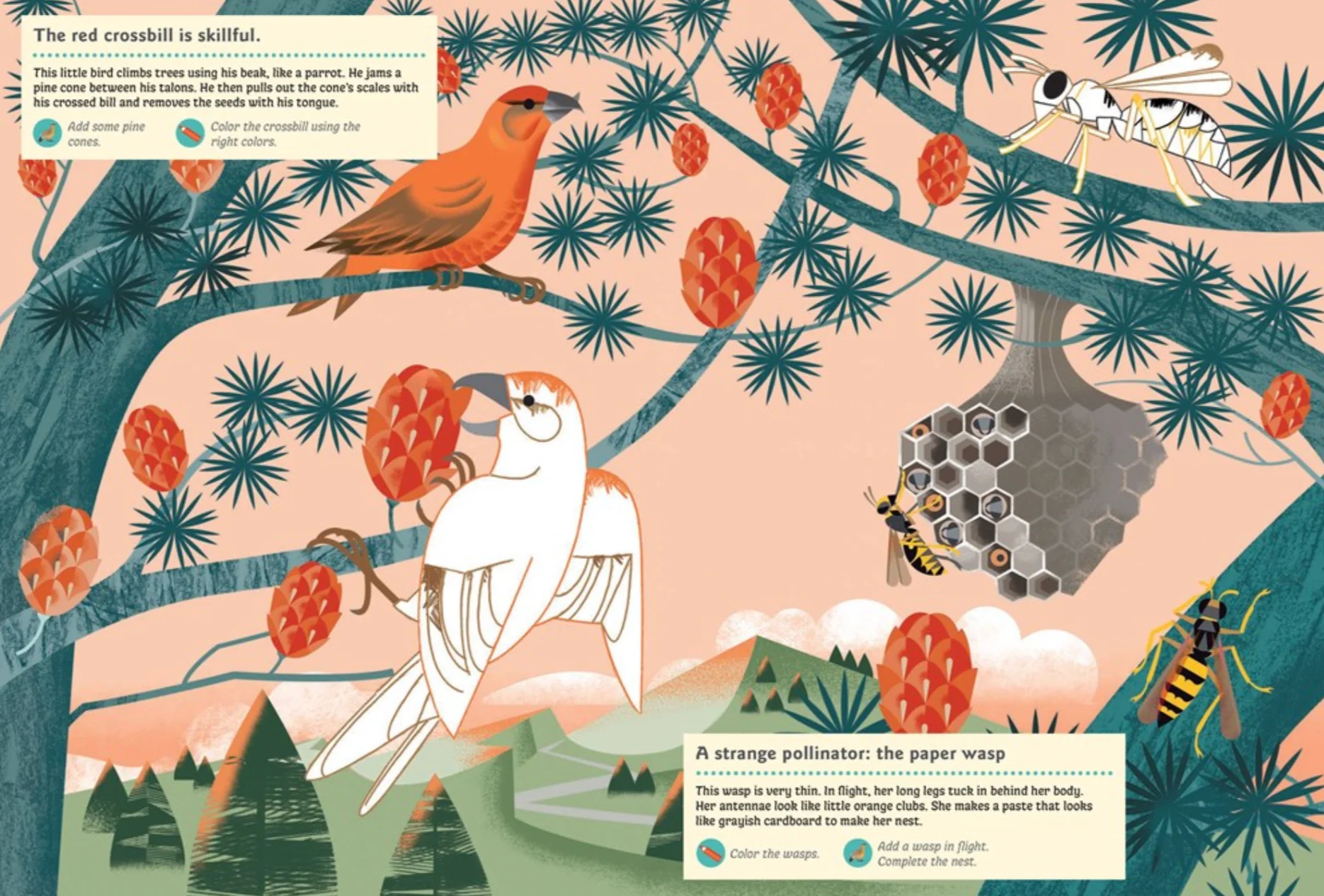 Animals of the Mountains -My Nature Sticker Activity Book - Image 5