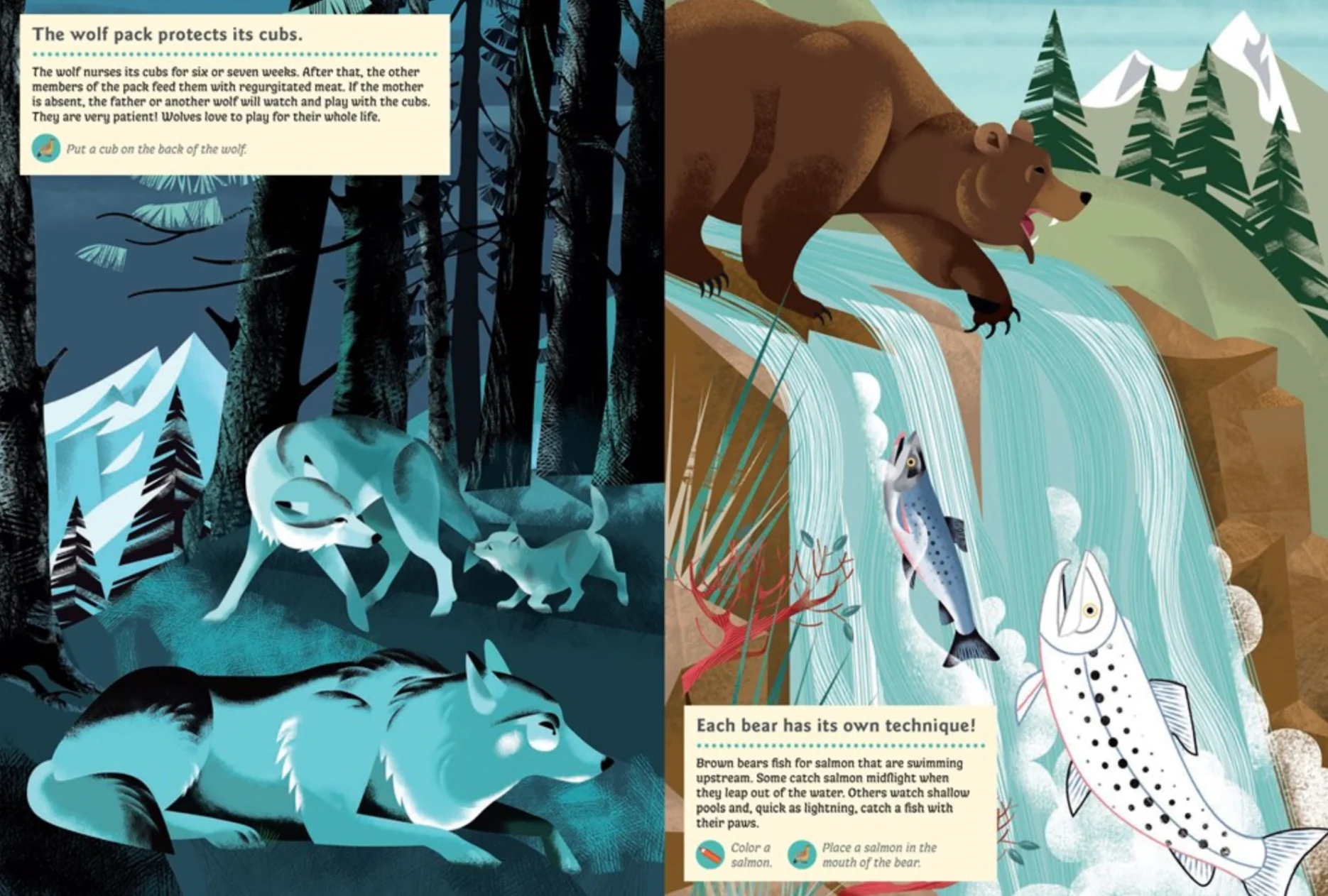 Animals of the Mountains -My Nature Sticker Activity Book - Image 7