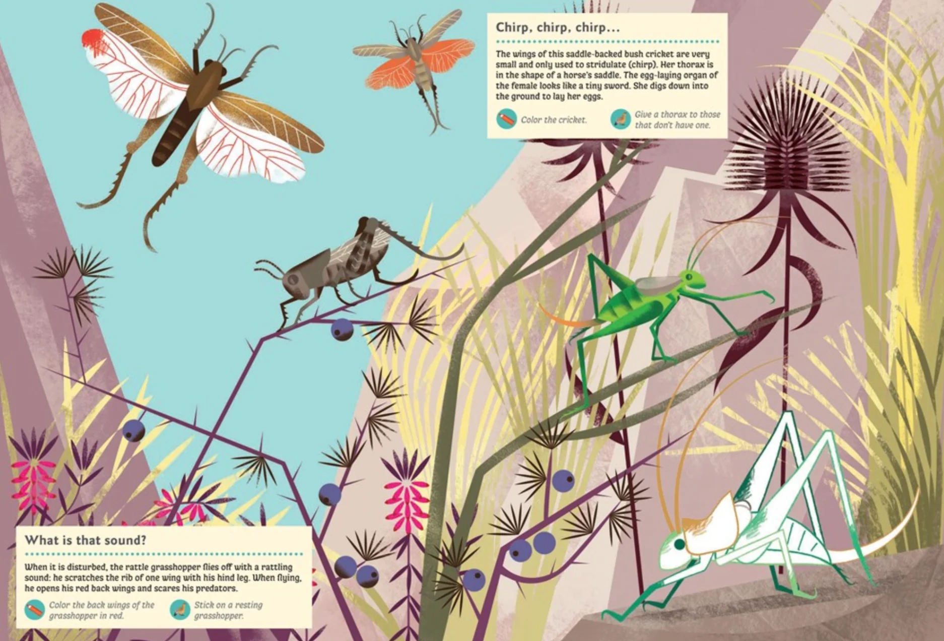 Animals of the Mountains -My Nature Sticker Activity Book - Image 9