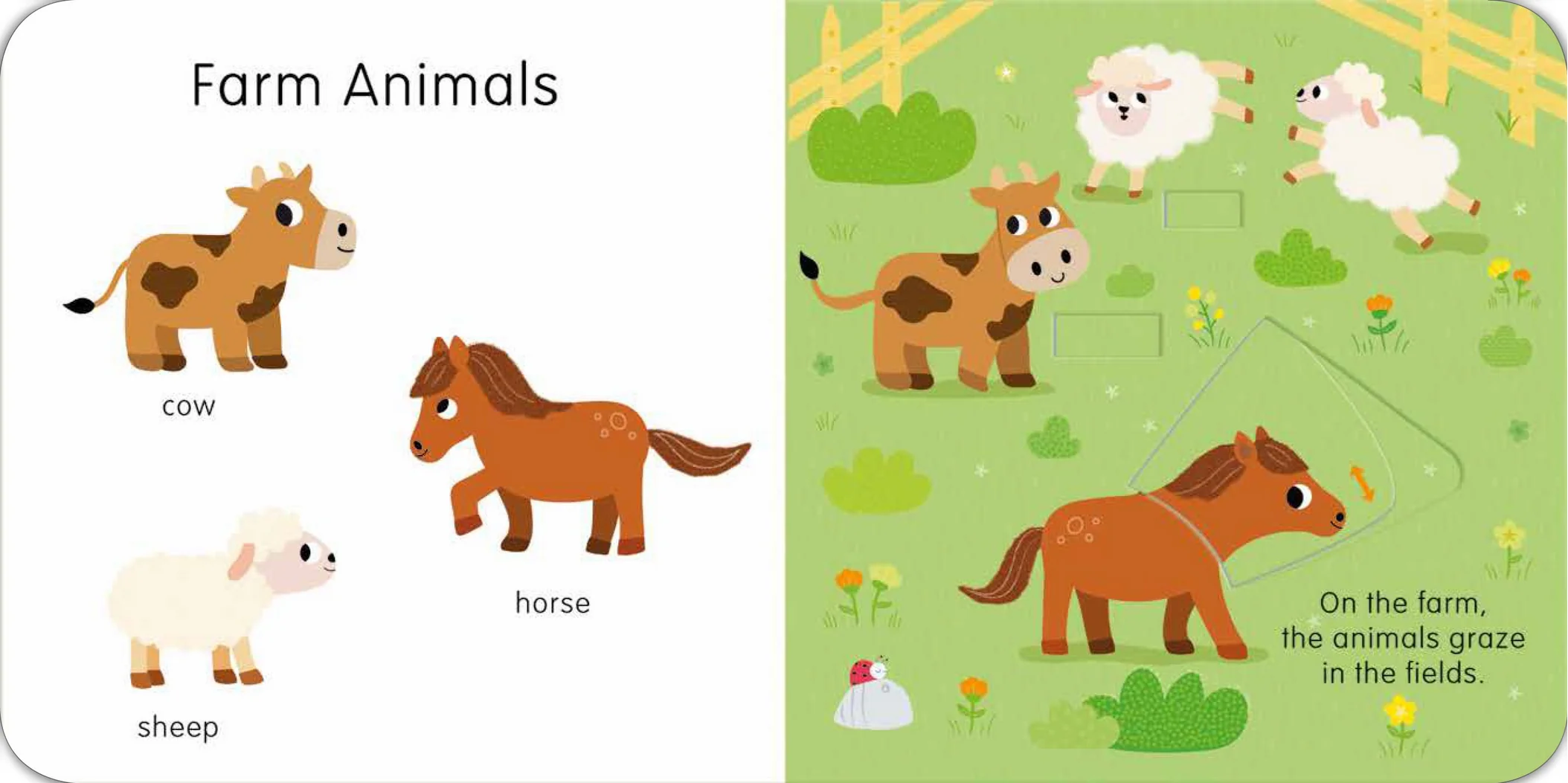 Animals: Slide and See First Words - Image 2