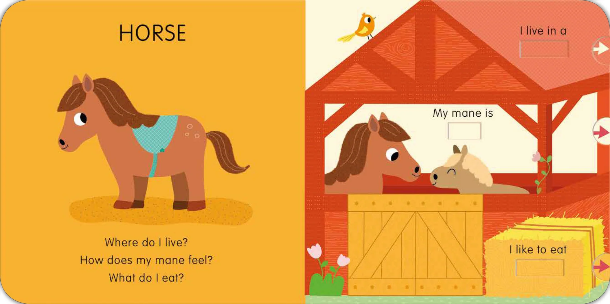 Animals: Slide and See First Words - Image 4