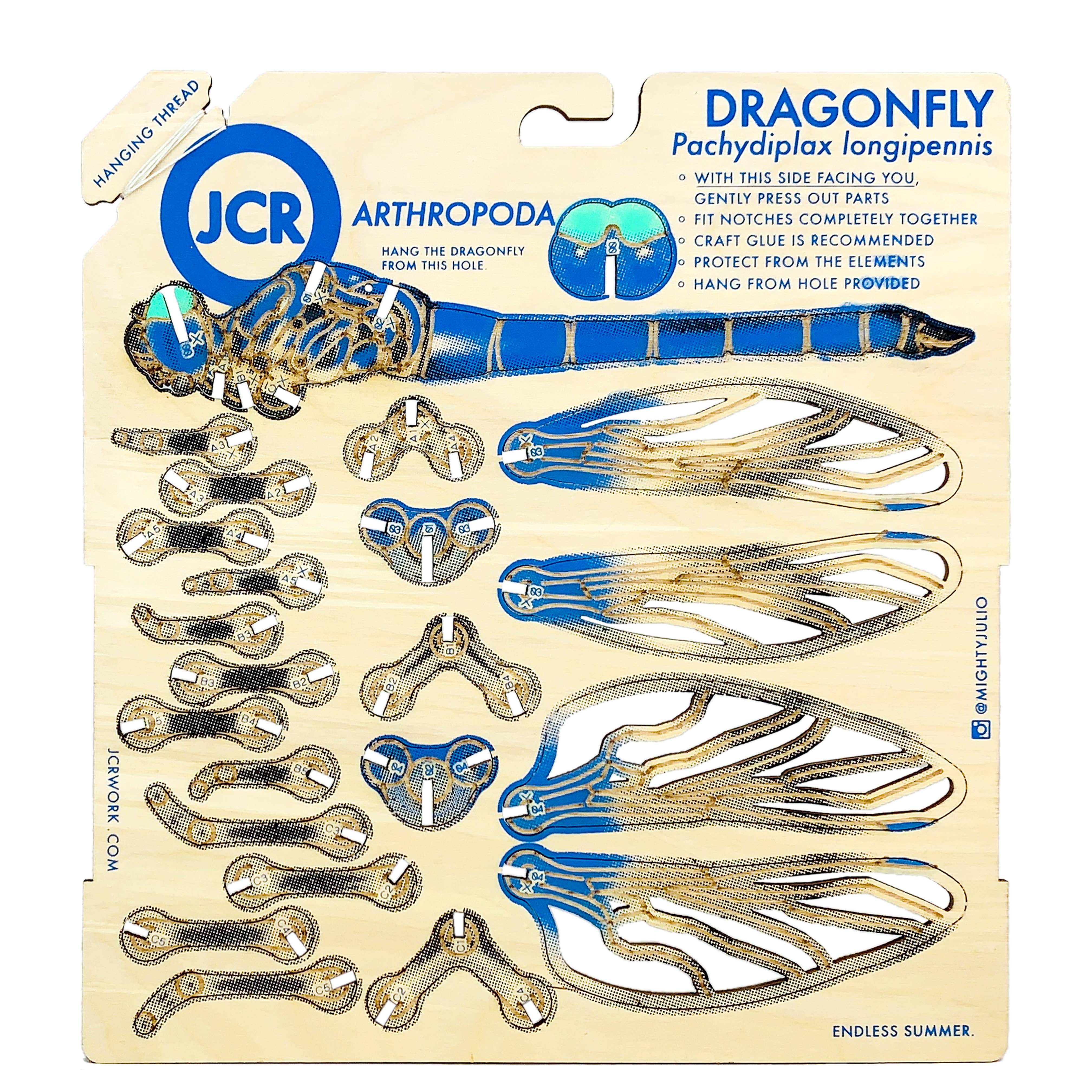 Arthropoda: Dragonfly - Image 2