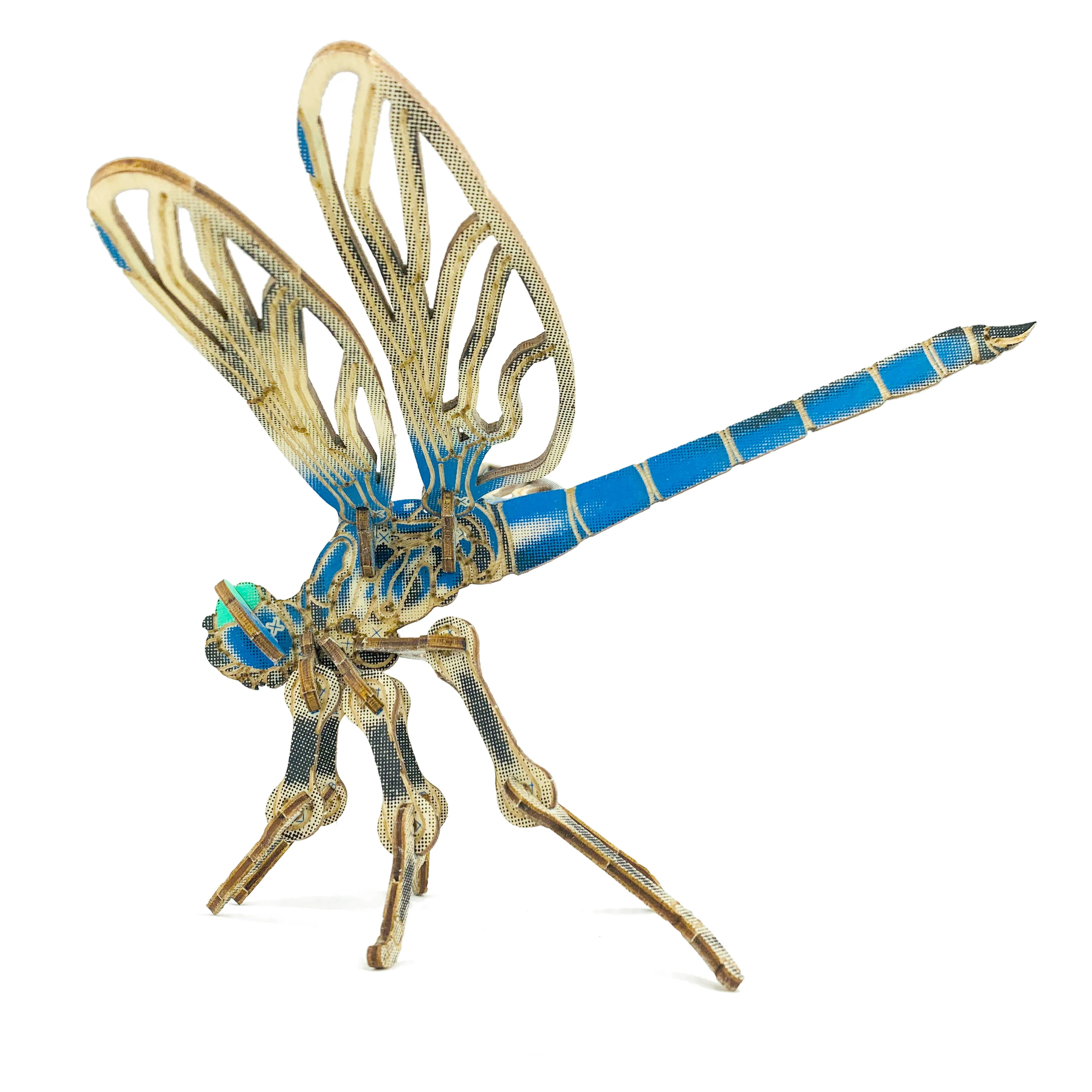 Arthropoda: Dragonfly - Image 3