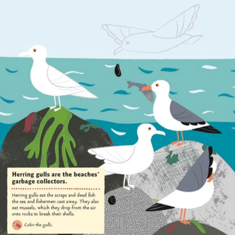 At the Seashore -My Nature Sticker Activity Book - Image 2