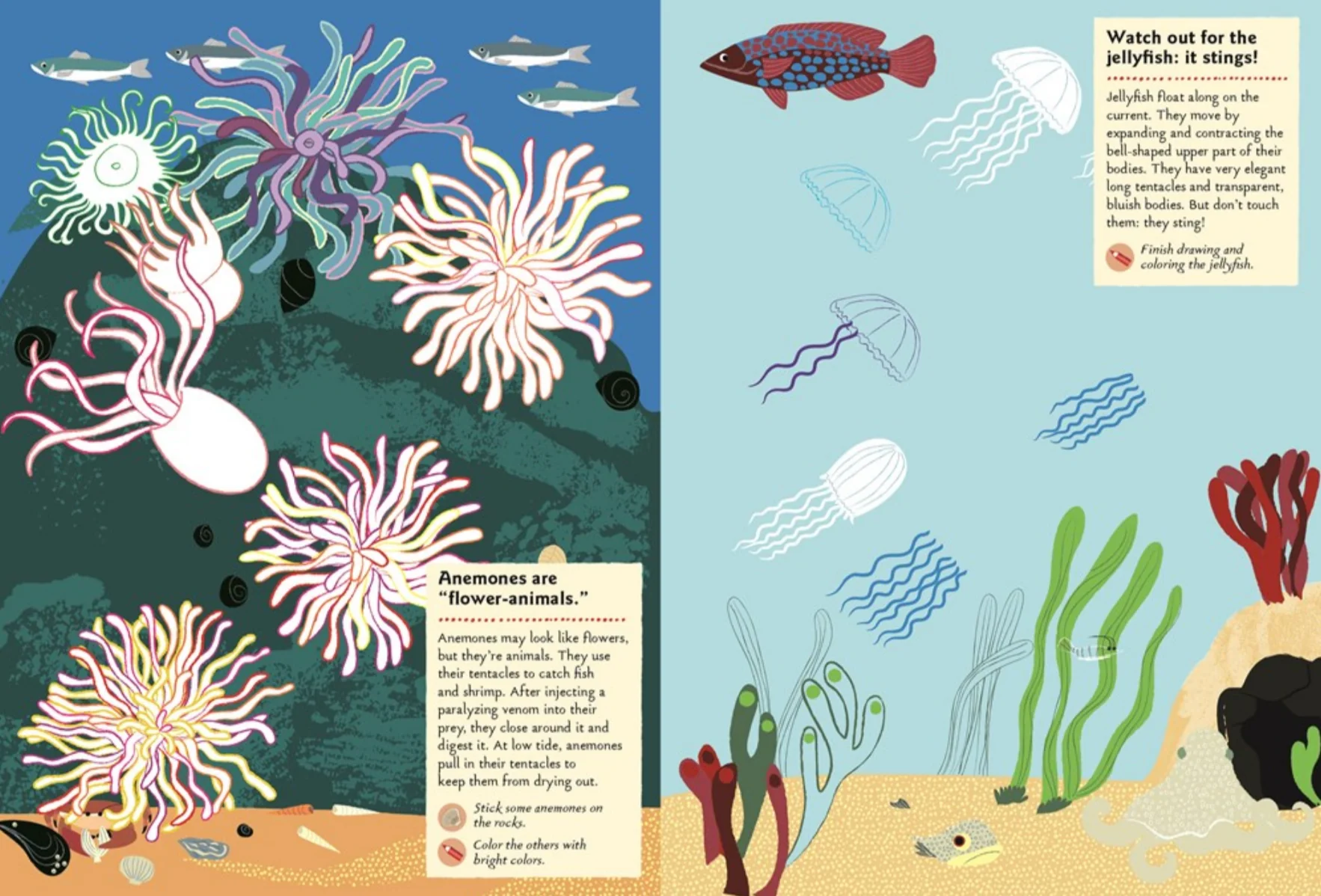 At the Seashore -My Nature Sticker Activity Book - Image 3