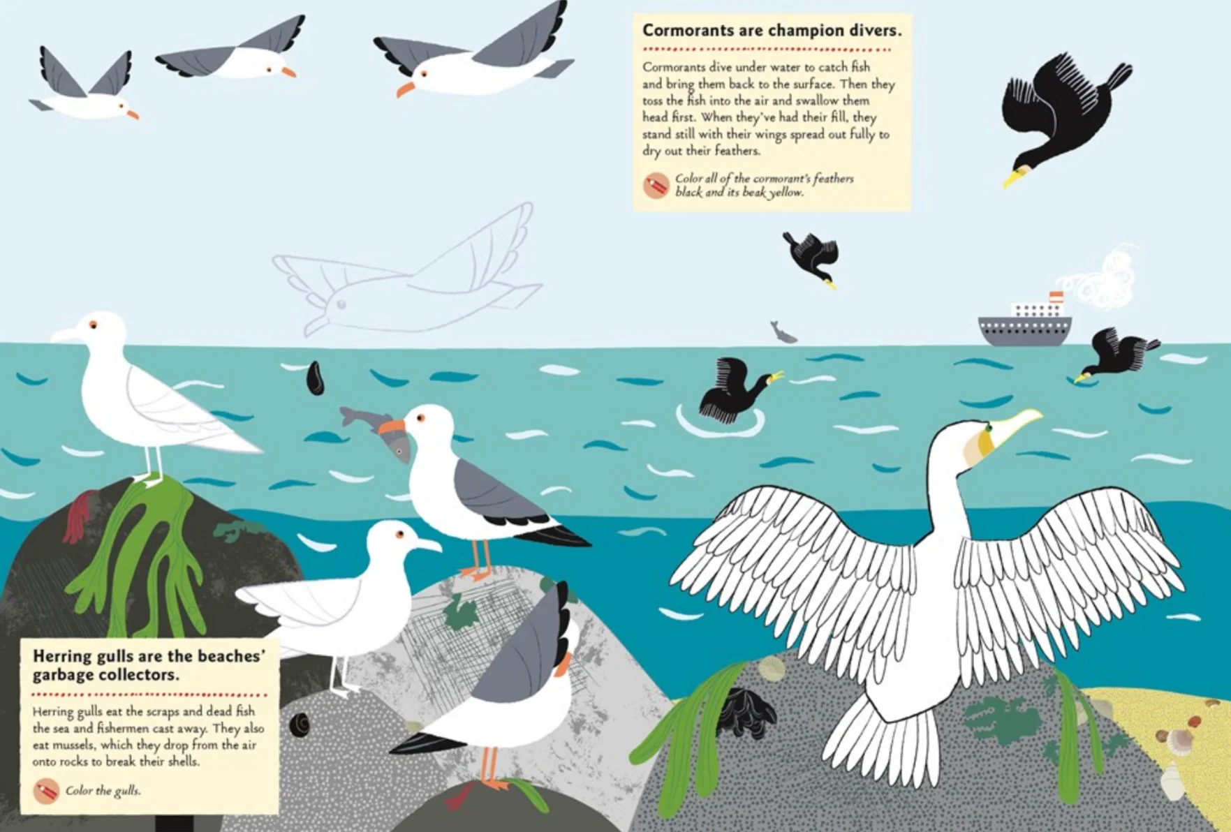 At the Seashore -My Nature Sticker Activity Book - Image 5