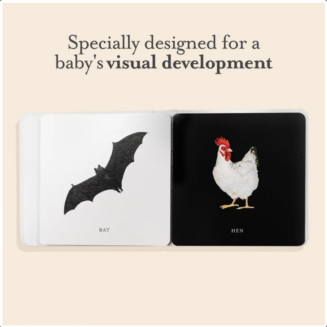 Baby's Tummy Time Book Box Set - Image 3