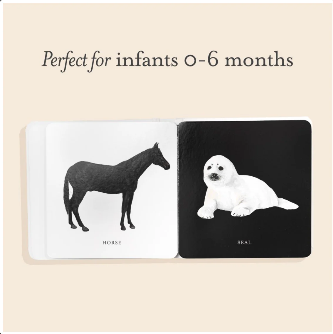 Baby's Tummy Time Book Box Set - Image 4