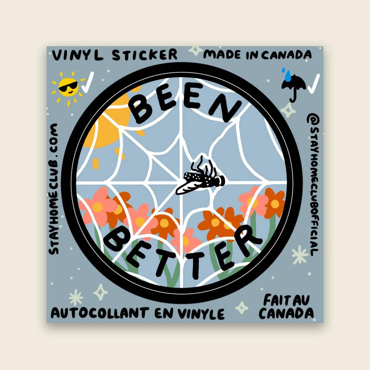 Been Better (Spiderweb) | Waterproof Vinyl Sticker - Image 2