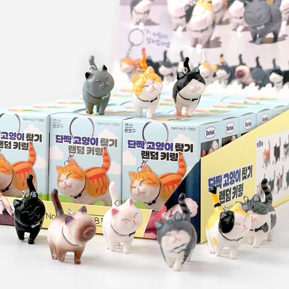 Best Friend Cat Figure Collectable Keyring -Random Box - Image 5