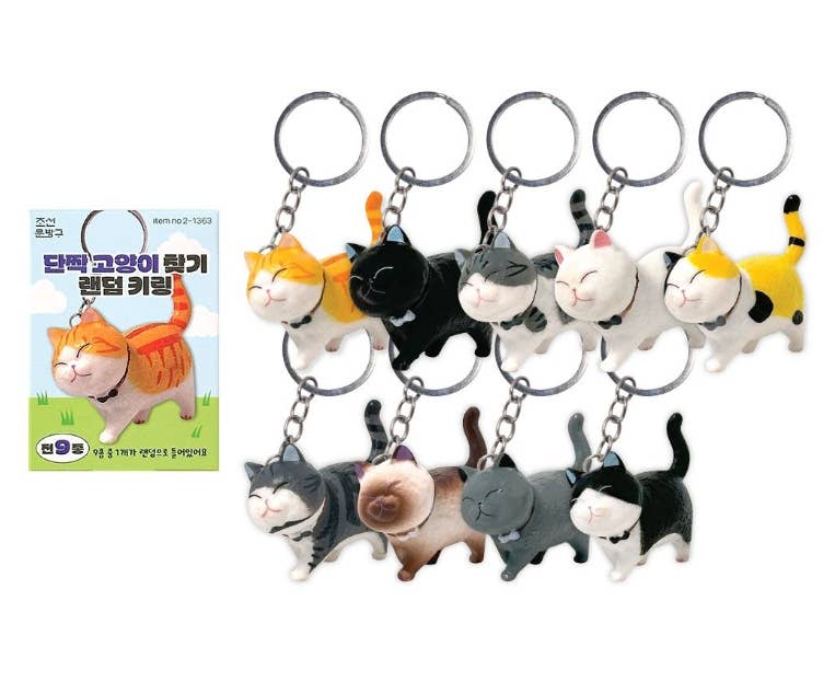 Best Friend Cat Figure Collectable Keyring -Random Box - Image 8