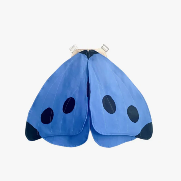 Spotted Blue Butterfly Wings