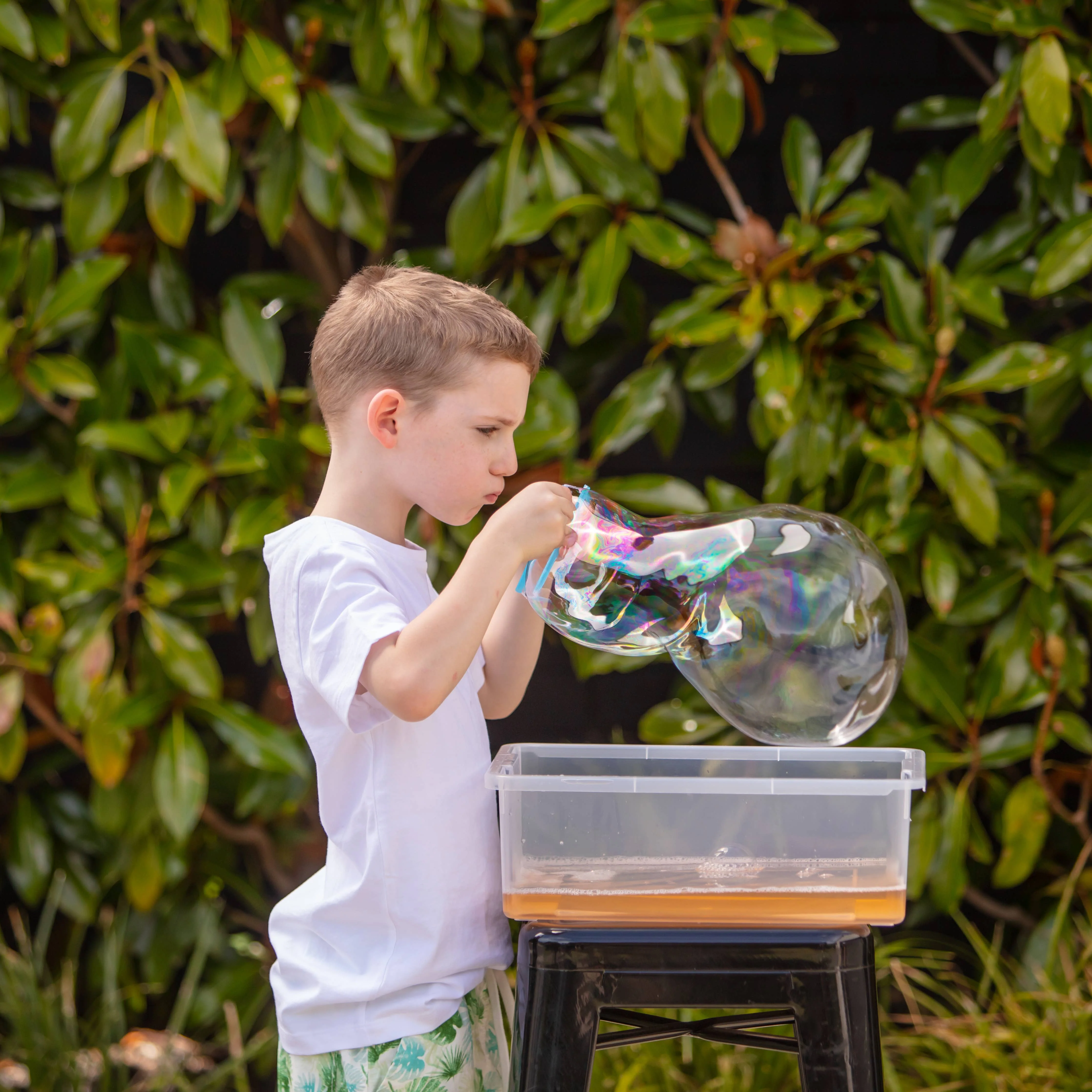 Bubble-ology - Soapy Science - Image 4