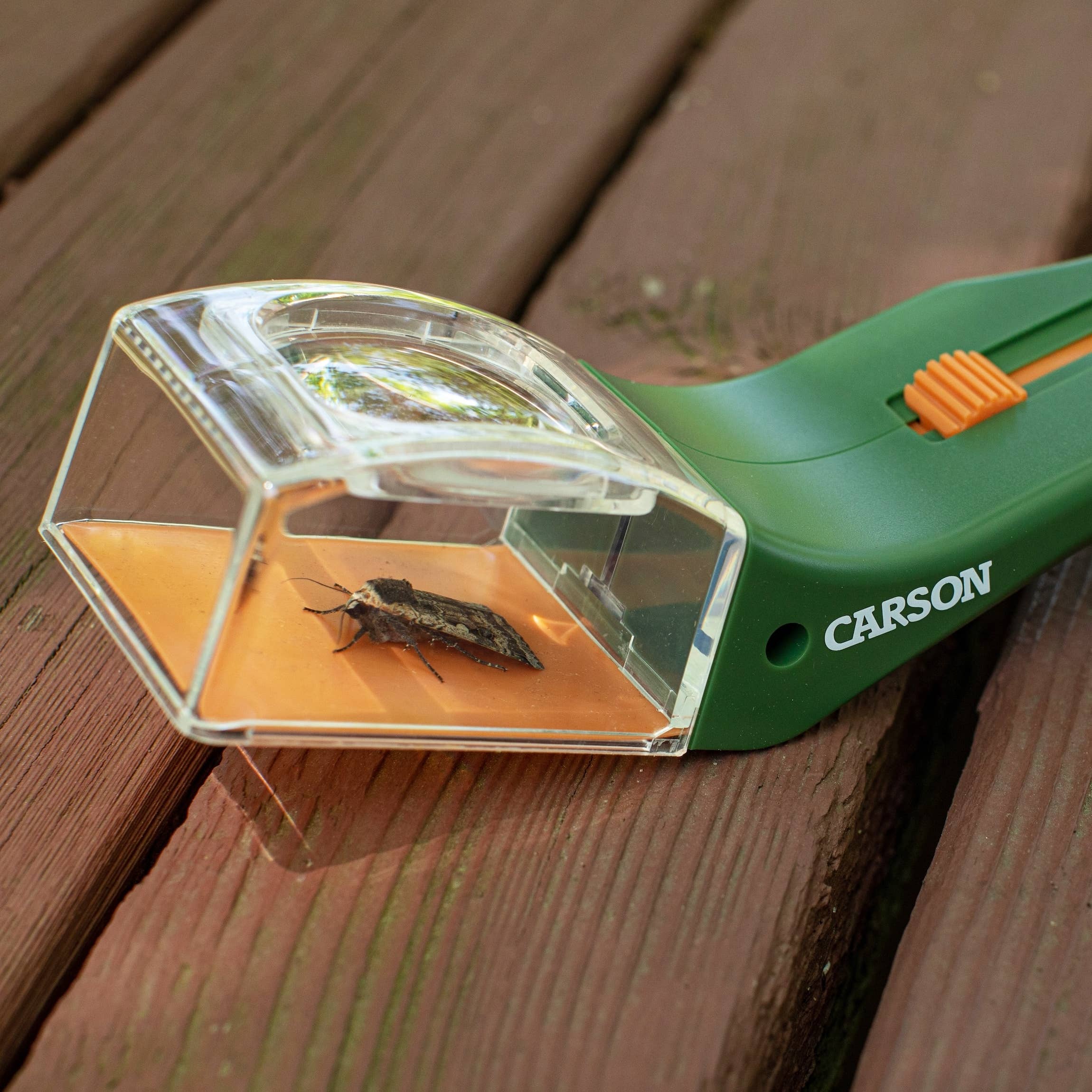 BugView 5x Magnifier Quick-Release Bug Catching Toy - Image 2