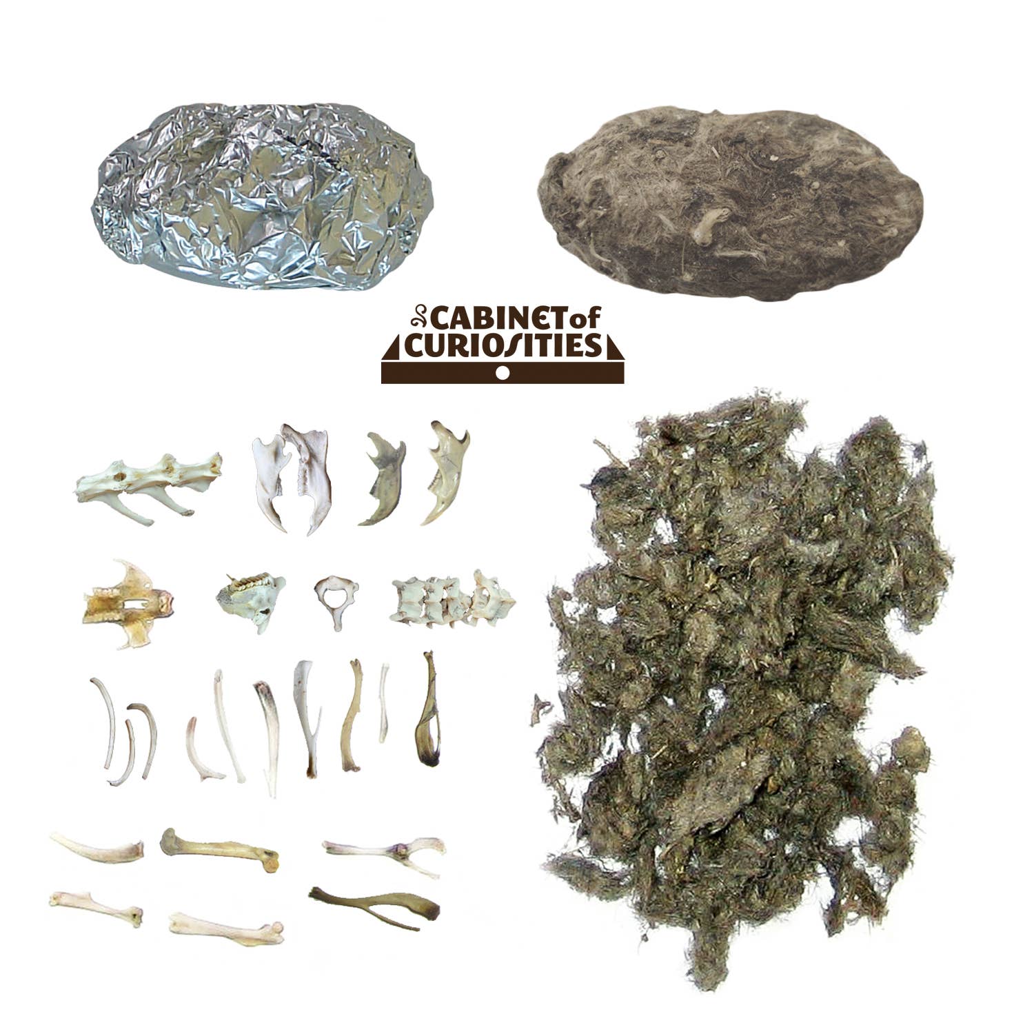 Cabinet of Owl Pellets -Dissection Kit Science - Image 6