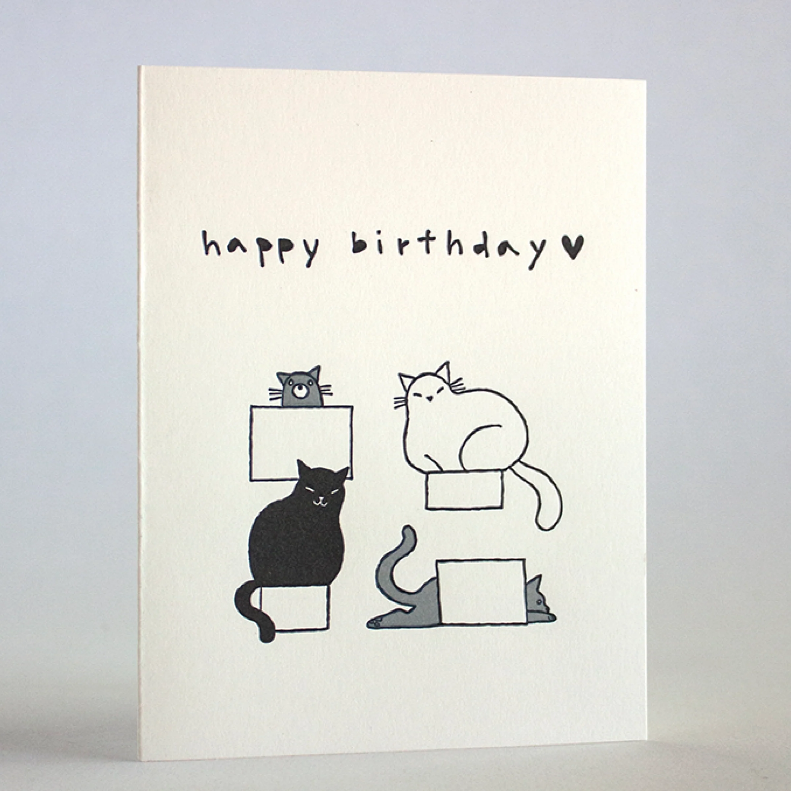 Happy Birthday Cat in Boxes Card