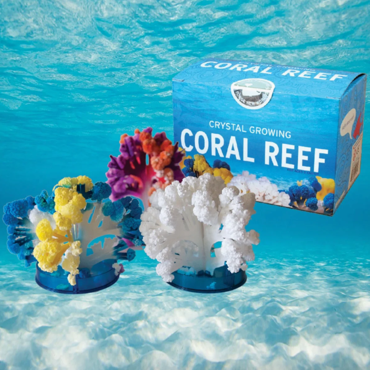 Crystal Growing Coral Reef