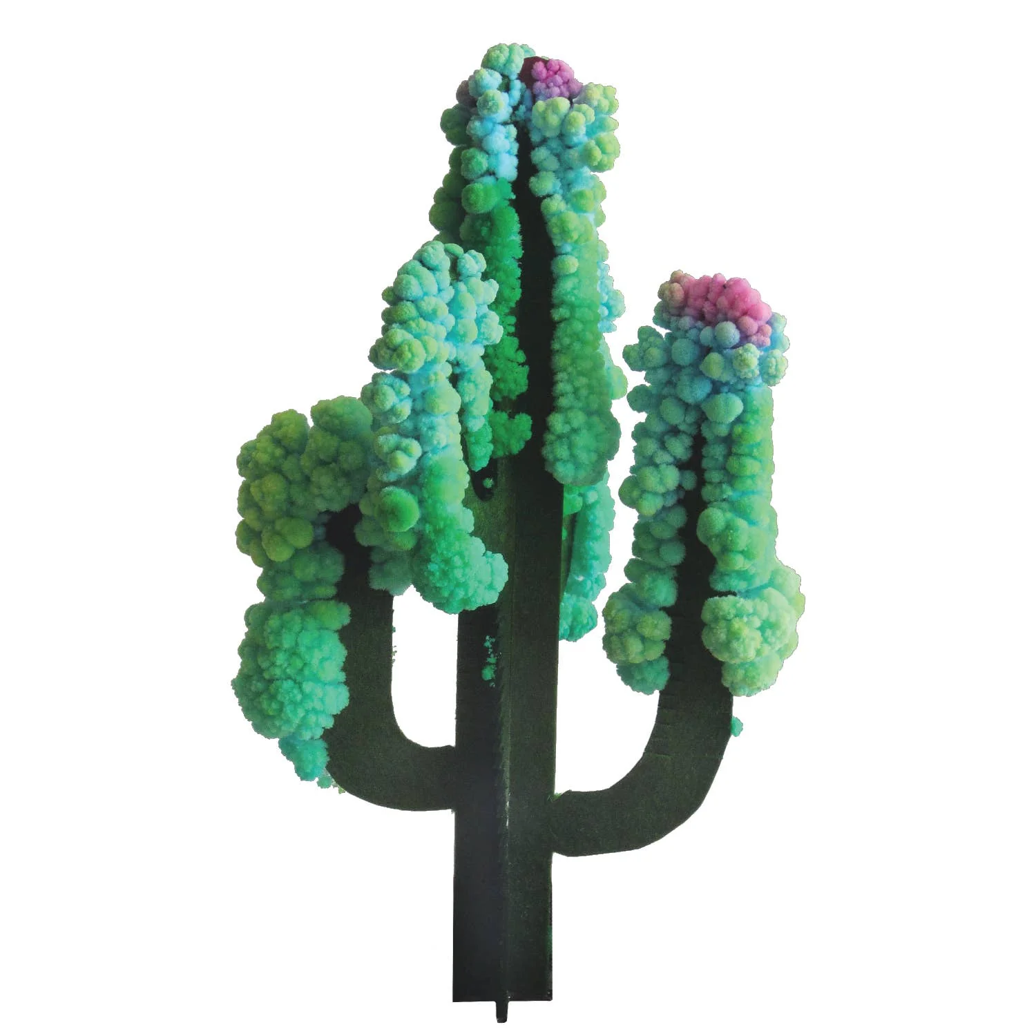 Crystal Growing Saguaro Cactus -Craft Kit Science Kit - Image 2