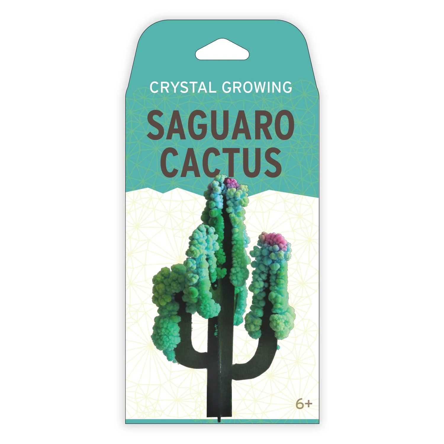 Crystal Growing Saguaro Cactus -Craft Kit Science Kit - Image 4