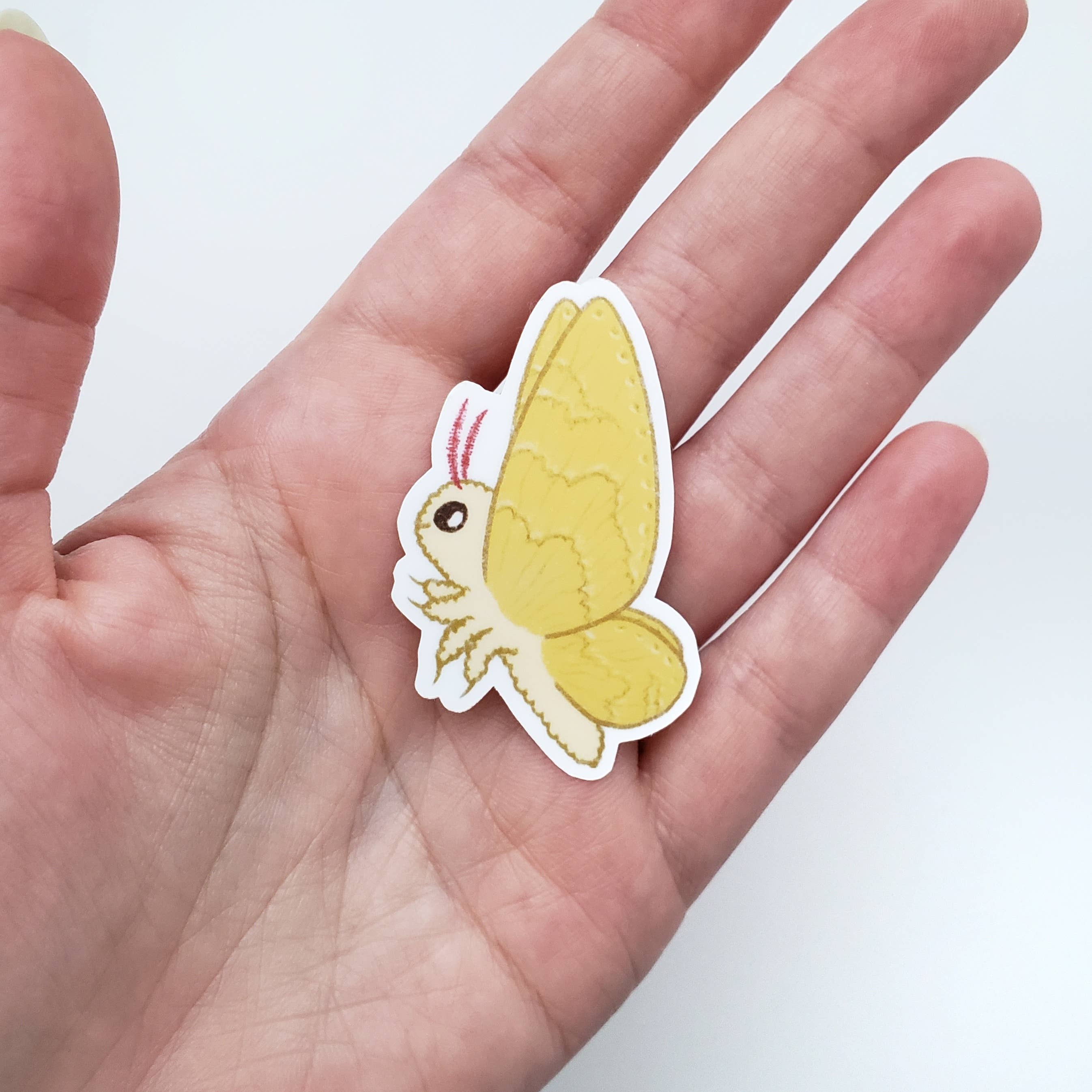 Cute little moth vinyl sticker