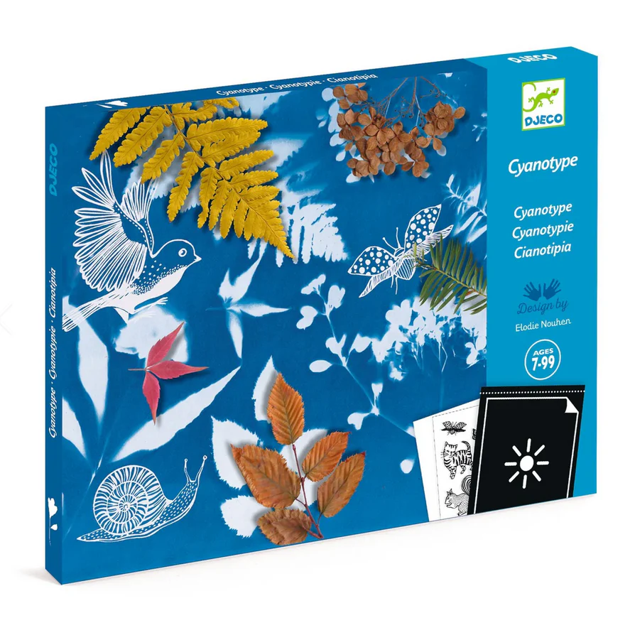 Cyanotype Starter Craft Kit