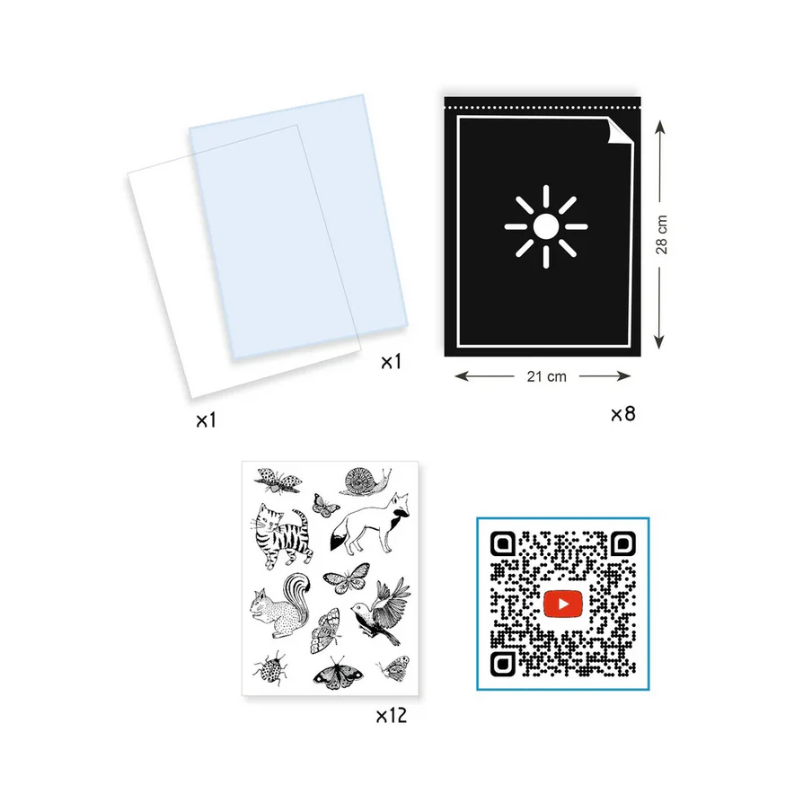 Cyanotype Starter Craft Kit - Image 2
