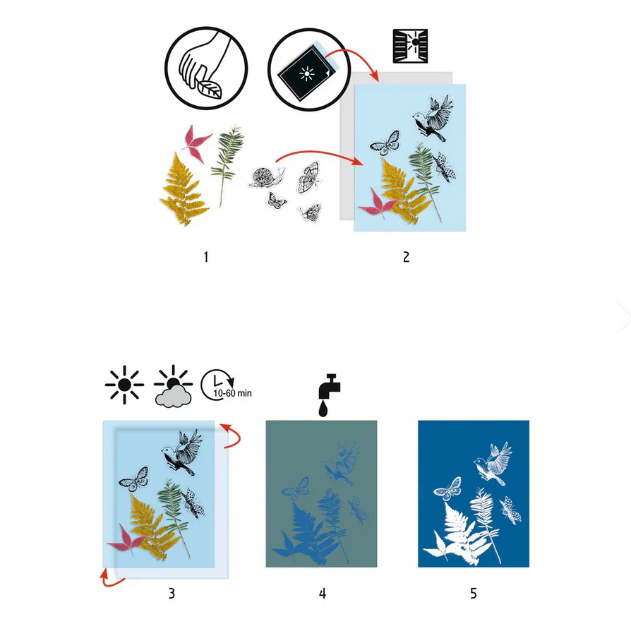 Cyanotype Starter Craft Kit - Image 3