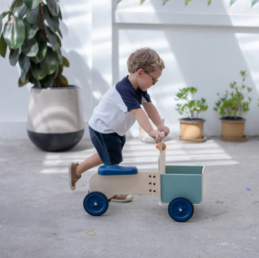Delivery Bike - Orchard - Image 3