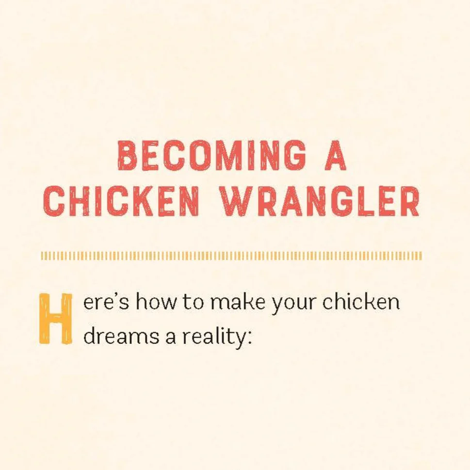 Desktop Chicken Coop: Build Your Own! - Image 2