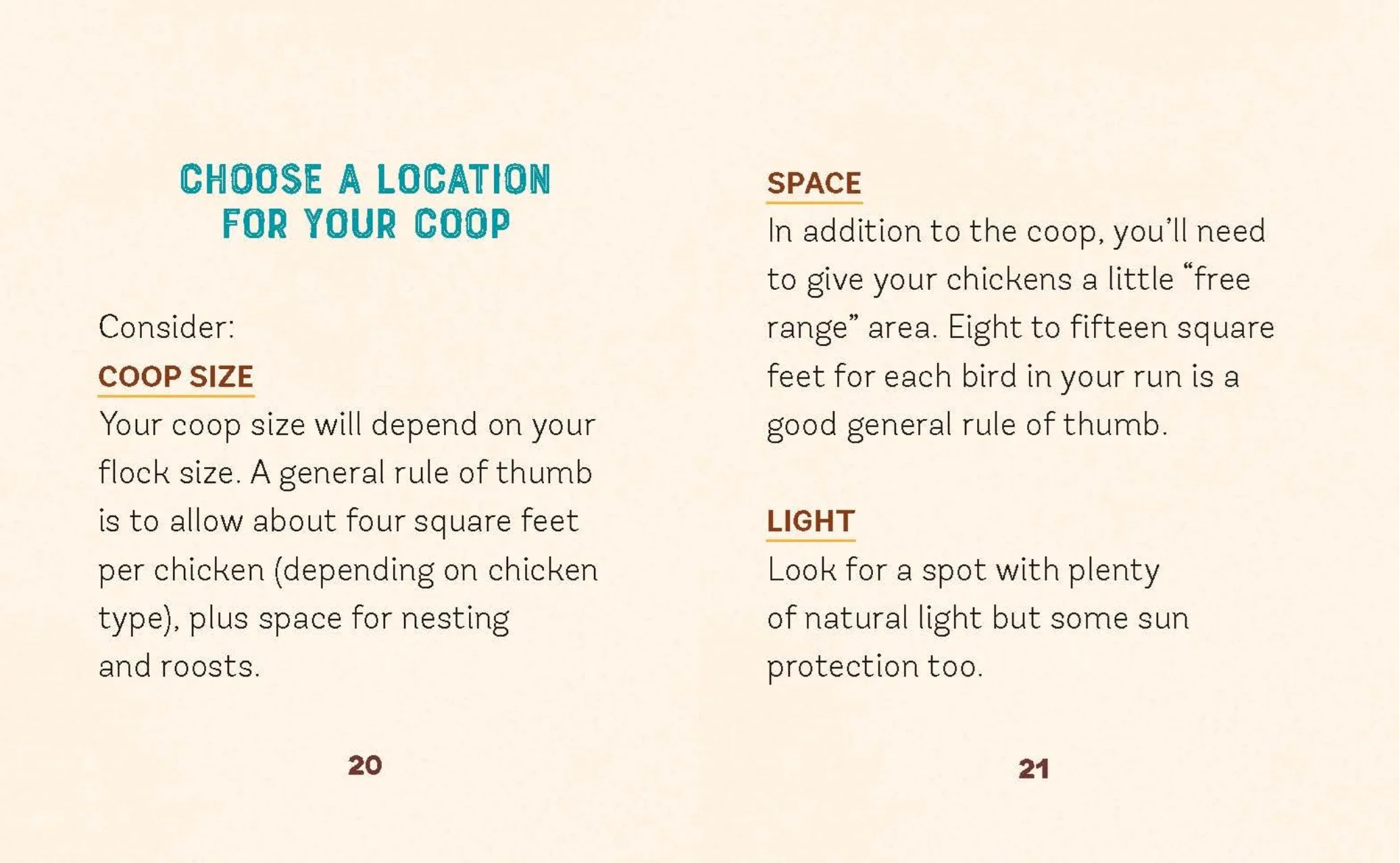 Desktop Chicken Coop: Build Your Own! - Image 4