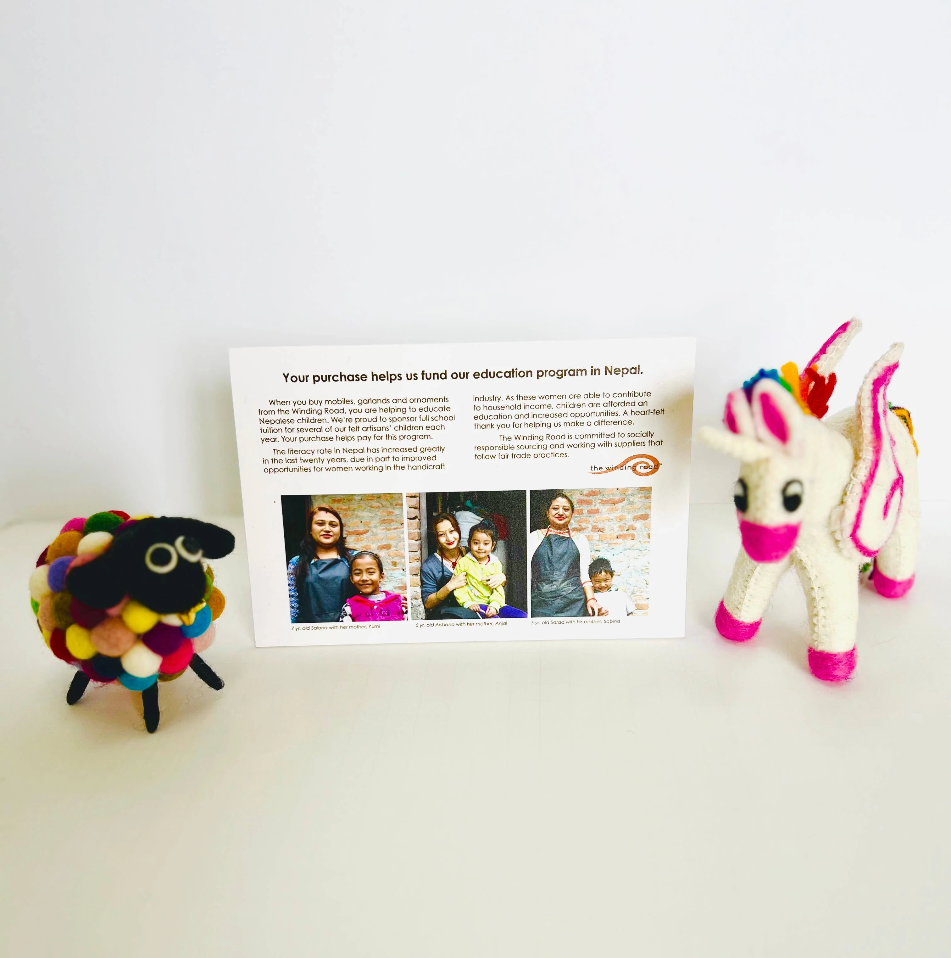 Dog - Small - Image 7