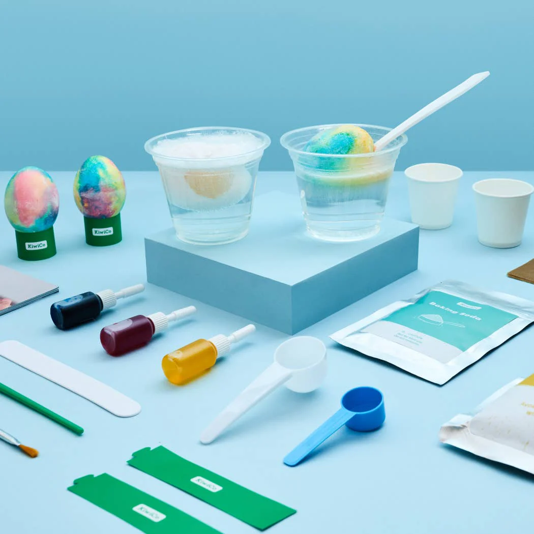 DIY Egg Experiment Kit