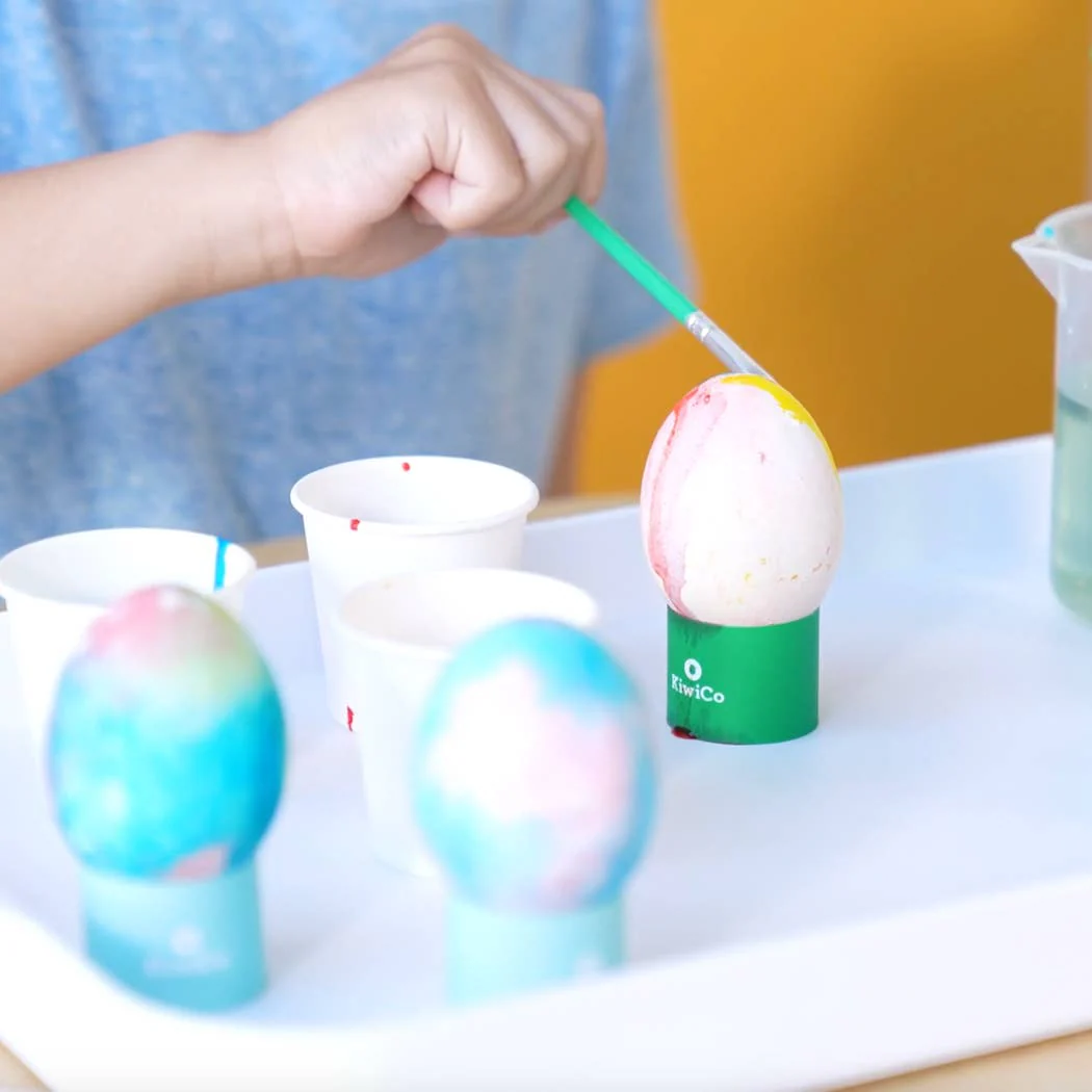 DIY Egg Experiment Kit - Image 4
