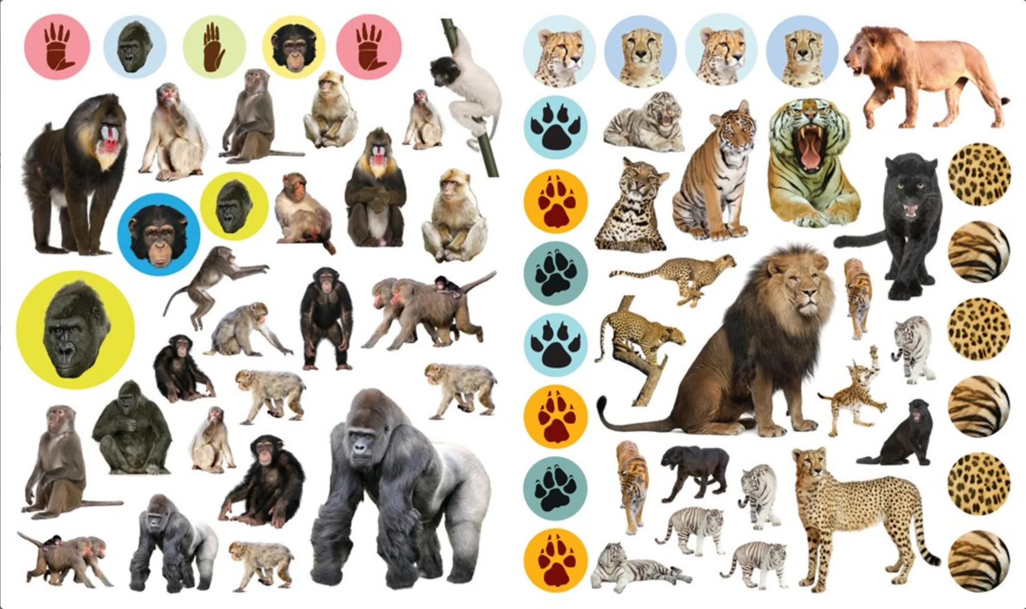 Eyelike Stickers: Wild Animals - Image 2