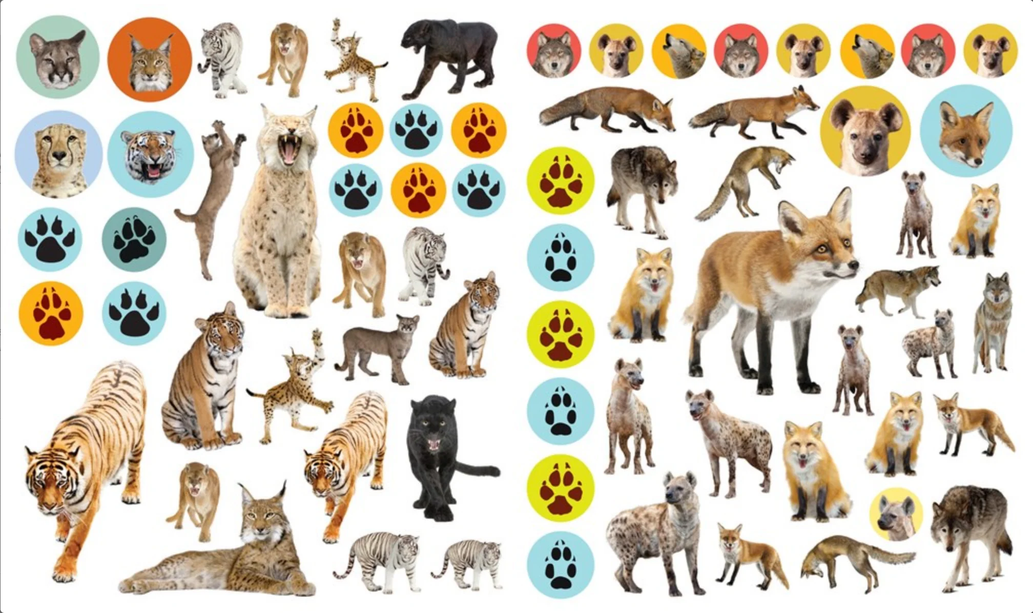 Eyelike Stickers: Wild Animals - Image 3