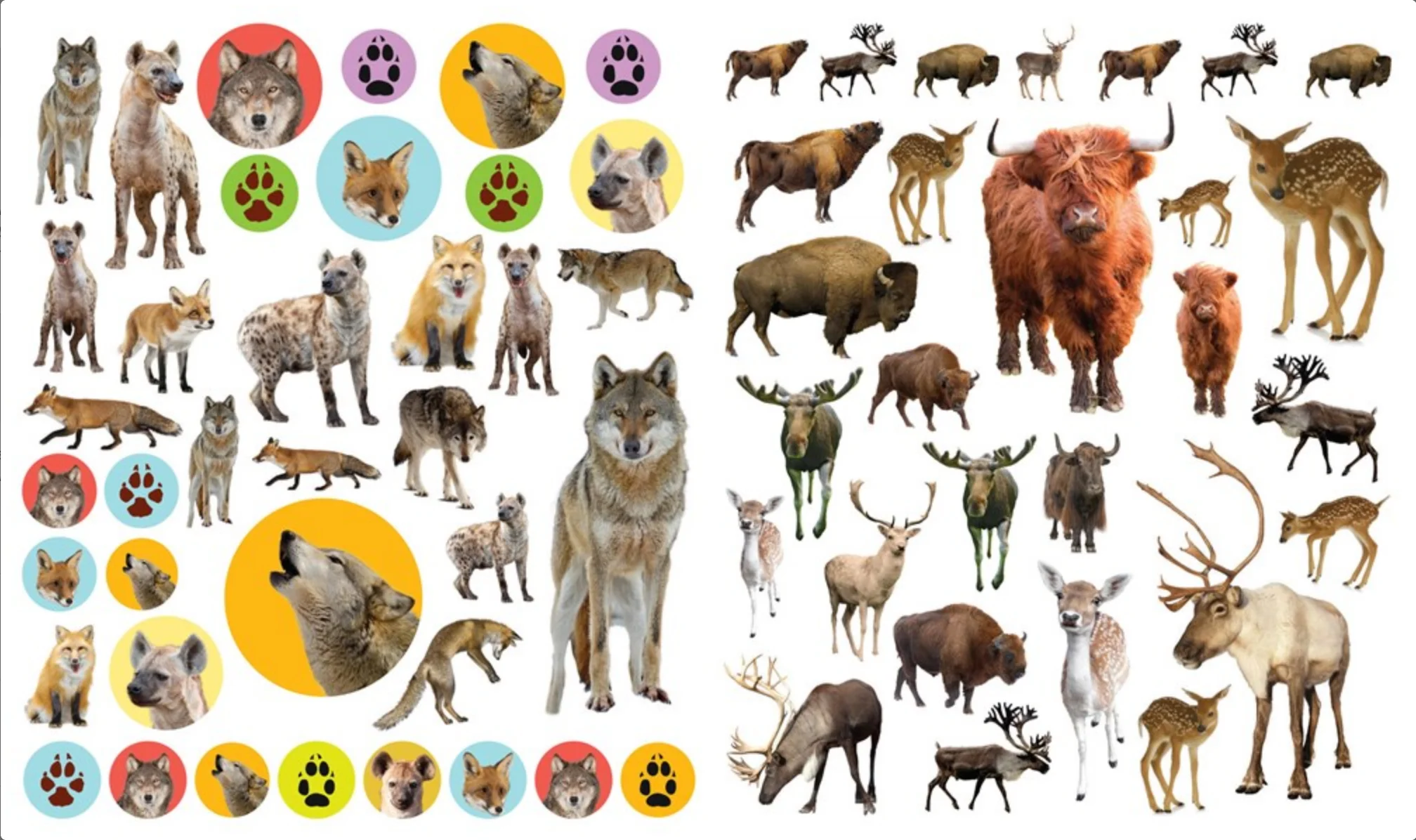 Eyelike Stickers: Wild Animals - Image 4