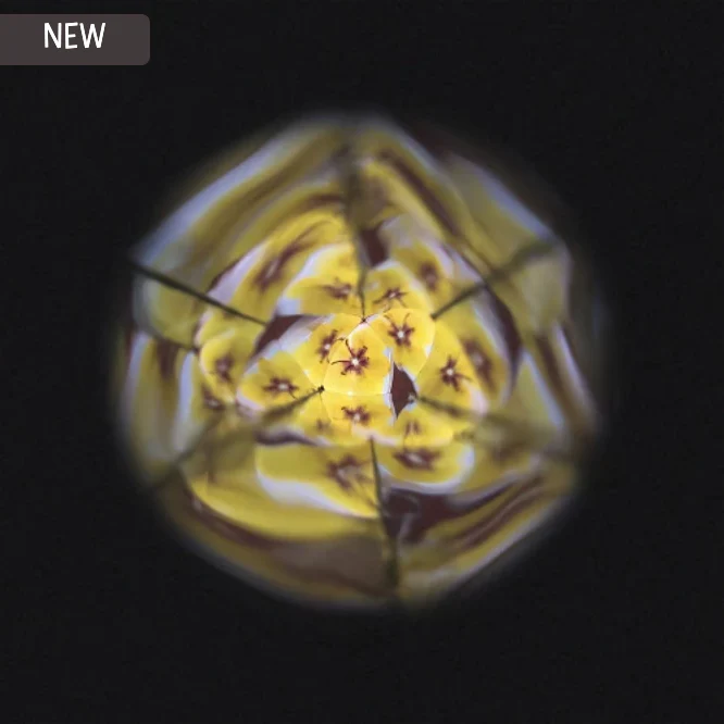 Flower Kaleidoscope - Image 10