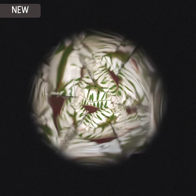 Flower Kaleidoscope - Image 9