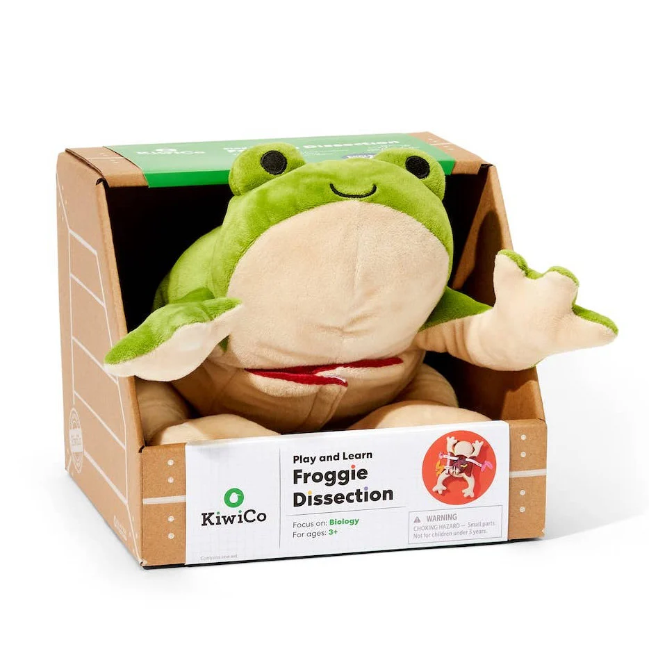 Froggie Dissection Lab, Anatomy Learning Toy