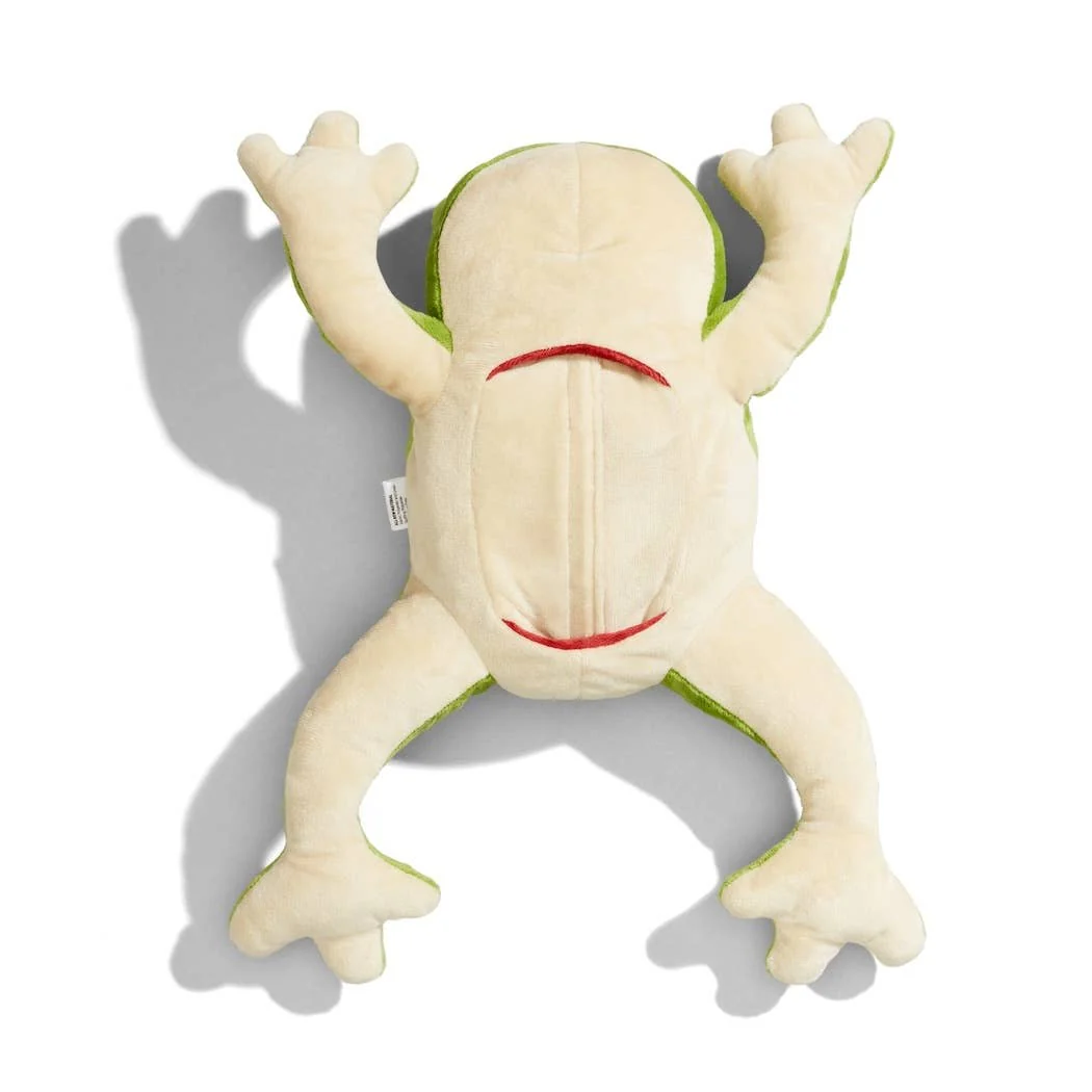 Froggie Dissection Lab, Anatomy Learning Toy - Image 4