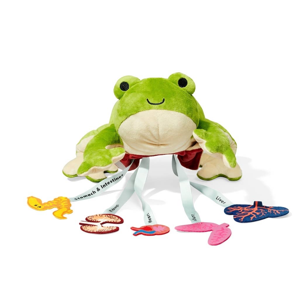 Froggie Dissection Lab, Anatomy Learning Toy - Image 5